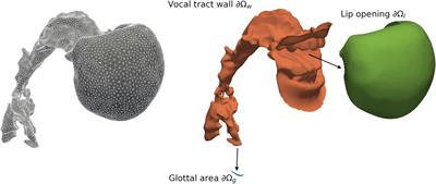 Voice efficiency for different voice qualities combining experimentally derived sound signals and numerical modeling of the vocal tract